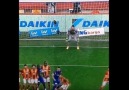 Dünya'nın en müthiş kedisi Muslera!