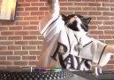 Dünyanın en sayko videosu kdkskdşhjfmdmsj