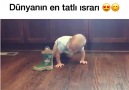 Dünyanın en tatlı ısrarı