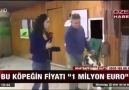 Dunyanin in gymmat iti Alabay. Paylasalyn dostlar