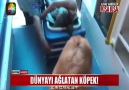 Dünyayı ağlatan köpek!