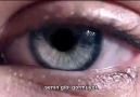 Dünya'yı Kimse Senin Gibi Görmüyor - Kamerasız Canon Reklamı