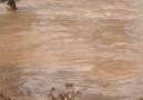 06.09.2018 (Dün) Yoğunhisar köyünde yaşanan sel felaketi.. Geçmiş olsun