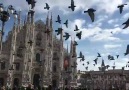 Duomo Cathedral Italy Video @w0o0ngram