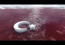 Dursun Bedirhan - BAYRAĞA BAK İBRET AL !!BAYRAK ZİNCİRİ...