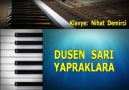 DÜŞEN SARI YAPRAKLARA