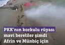 DÜŞMANIN KORKULU RÜYASI MAVİ BERELİLER...