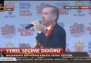 Düşünen Deli - Nadanı terk etmedin Yaranı arzularsın....