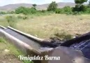 Duydumki Bensiz...Sayfamızı Beğenmeyi... - Yeniyıldız burna