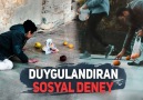 DUYGULANDIRAN SOSYAL DENEY - EL UZAT