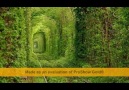 DUYGULARIMLA OYNADIN (DAMAR ARABESKRAP)