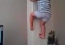 Düz duvara tırmanan minik örümcek adam :))