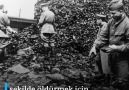 DW Türkçe - Auschwitz&1 milyon 100 bin insan öldürüldü Facebook