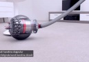 Dyson Cinetic Big Ball Animal