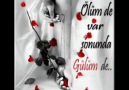 ╭♥╯SeViYoRuM GüLüM SeNi╭♥╯