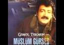 ღ eSRaRLı GöZLeR ~  MüSLüM GüRSeS ღ