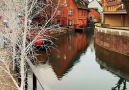 Earth Wonders - Colmar France. Facebook