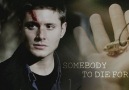 •  Sam & Dean  •