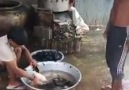 Easy ways how to clean duck