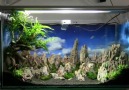 ► Aquarium Setup Schritt für Schritt ◄