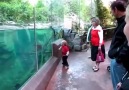 難得動物園裡的逗趣影片