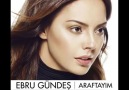 Ebru Gündeş - Nerdeydin 2014