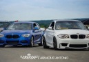 ✪ Bimmerfest 2K15 ✪