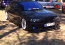 E46 dancer D