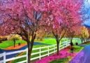 ☆★☆ ♔Amazing Colors of Spring  ♔☆★☆