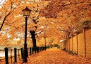 ☆★☆ ♔Amazing Colours of Autumn ♔☆★☆