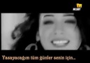 ﻿Sandy Hamout Aleik Türkçe Altyazılı Turkish Sub.