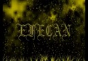 eFeCaN -  eLLeRe GitSin Sewqiyi GörSün !