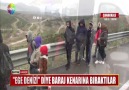 EGE DENİZİ DİYE BARAJ KENARINA BIRAKTILAR