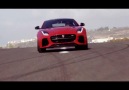 Eğer Jaguar gibi görünüyorsa Jaguar gibi hareket etmeli. Jaguar F-TYPE.