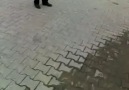 egsozcu kurti