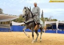 Egyptian Arabian Dance