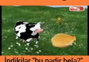 Ehh uşaqlığımız ((