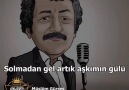 Ejder&ampArzu - Solmadan gel artık aşkımın gülü olsada...