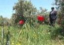 Ekrem Arslan - NECATİ ARSLAN Ekrem Arslan ın babası Arapça...