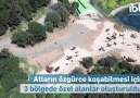 Ekrem İmamoğlu - Adalar&atlarımızın hepsinin sağlığı...