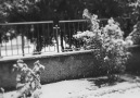 Elbistan takipcimizden gelenler