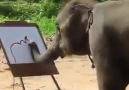 Elephant Drawing Elephant [Simply Amazing]