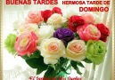 El Jardn De Mis Sueos - BUENAS TARDES HERMOSA TARDE DE DOMINGO Facebook