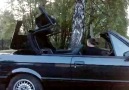 '- ELlektrická E30 Cabrio -'