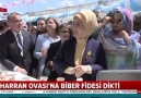 Emine Erdoğandan tohum ihracatı mesajı