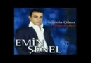 emin şenel-her gecenin sabahında