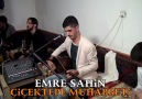 EMRE ŞAHİN & HANÇER YARASI - RÜZGAR GÜLÜ (YENİ) █▬█ █ ▀█▀