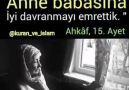 Emr-i Bi&Ma&ve Nehy-i Anil Münker - ----->-- Biz insana anasına ve babasına itaati de tavsiye ettik.!