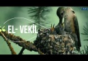 EN GÜZEL İSİMLER ALLAH&DIR.EL-VEKİL