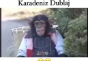 En Heyecanlı Kaçış Macerası- Karadeniz Dublaj